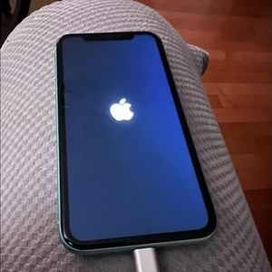 APPLE IPHONE 11 — 126 GB. already wiped out and ready for new user!